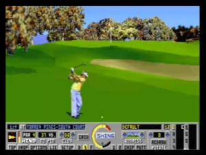 VIS Links: The Challenge of Golf screenshot